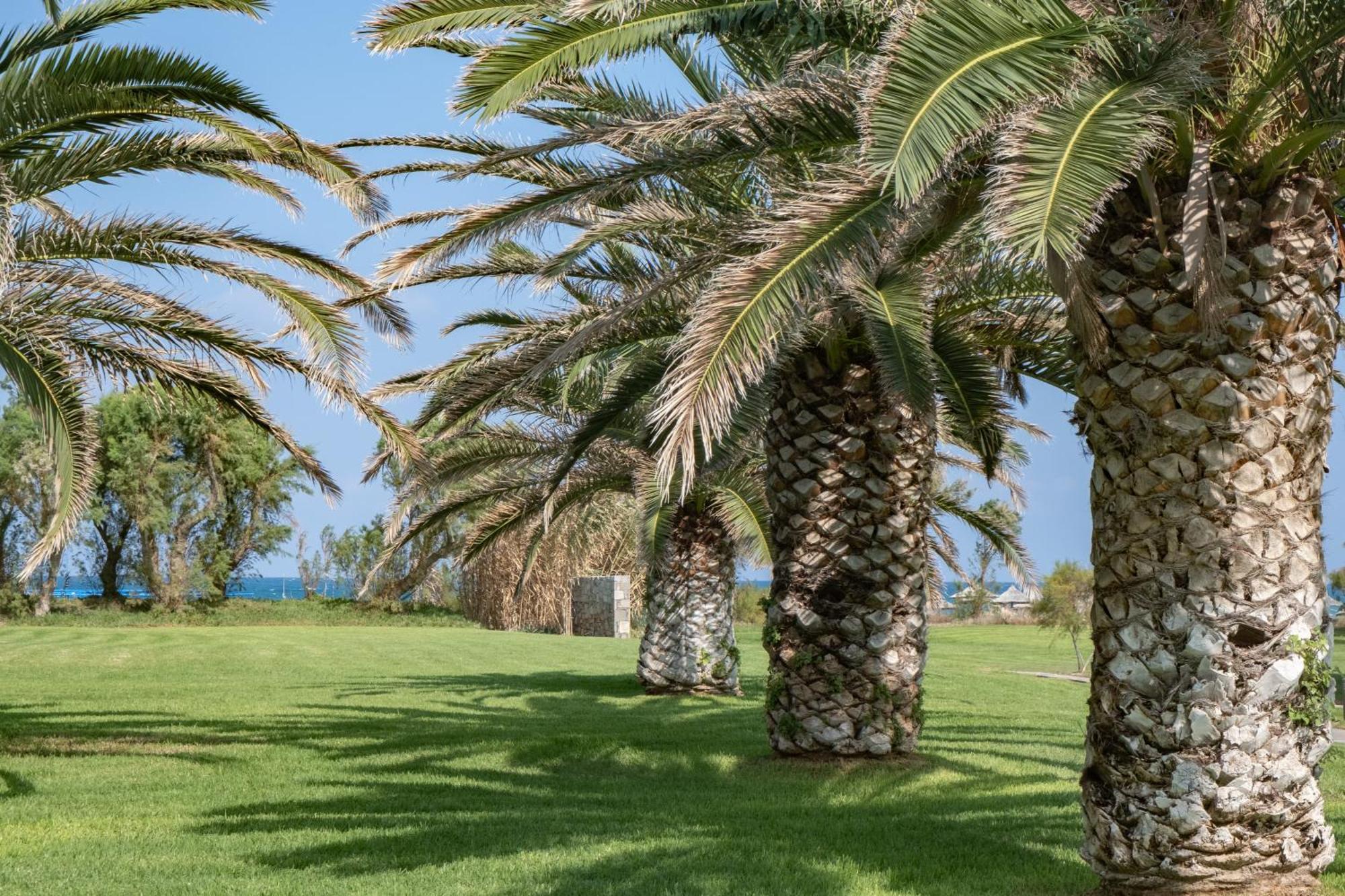 Agapi Beach Resort Premium All Inclusive Amoudara Lasithiou エクステリア 写真